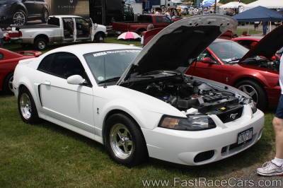 MUSTANG MUSTANG